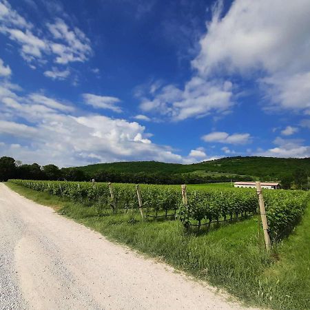 Agriturismo Andreis Alloggi Illasi 外观 照片