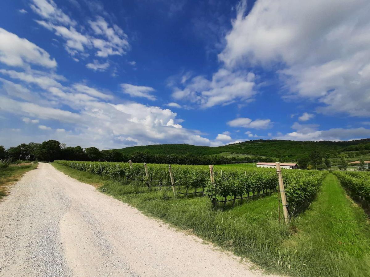 Agriturismo Andreis Alloggi Illasi 外观 照片