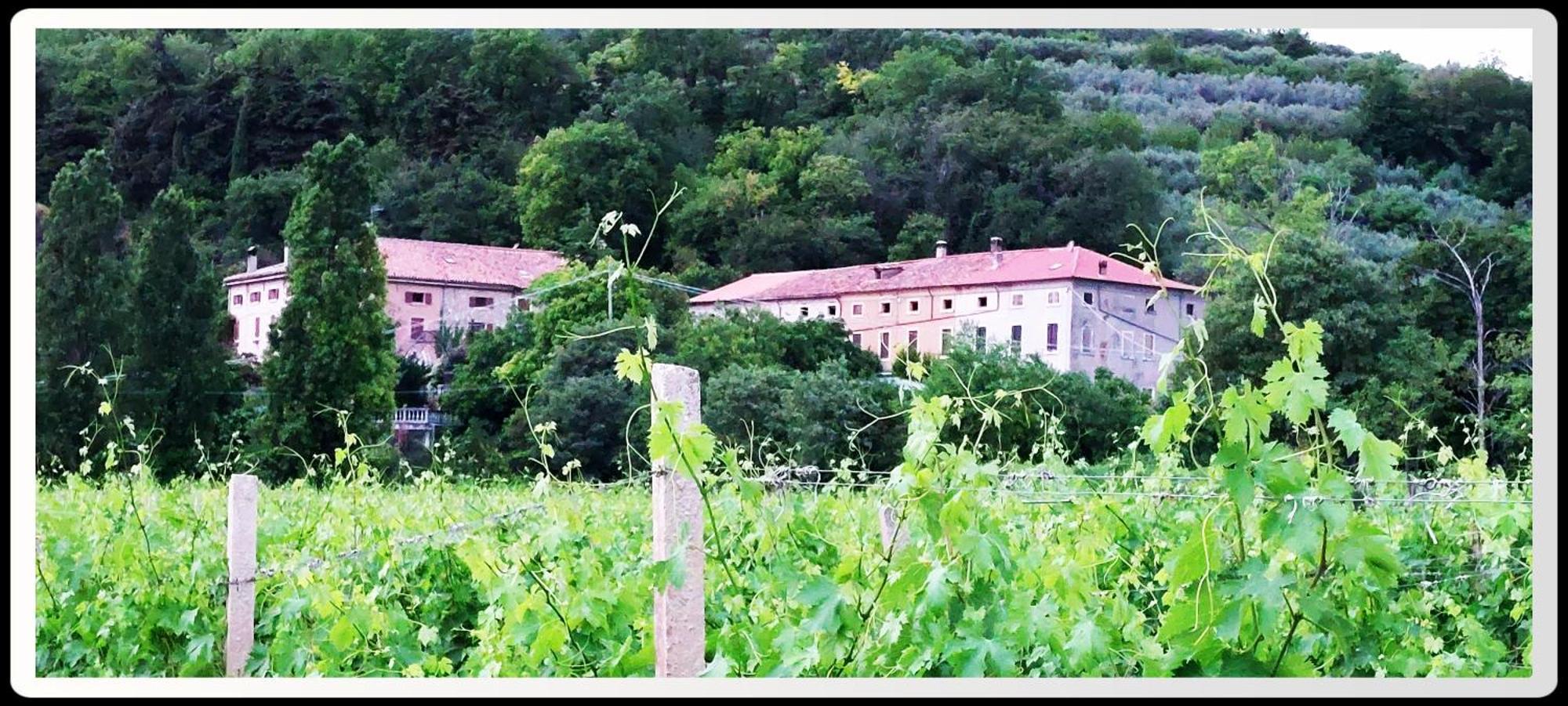 Agriturismo Andreis Alloggi Illasi 外观 照片